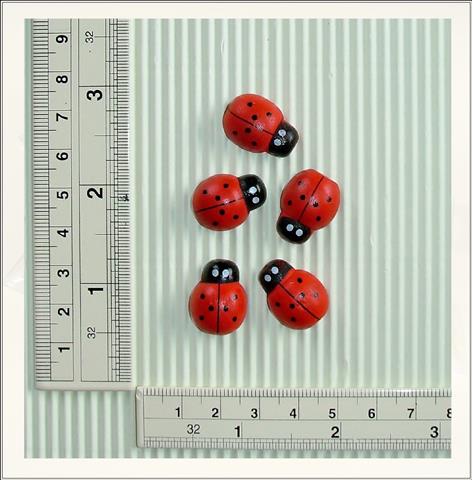 Wooden Lady Birds