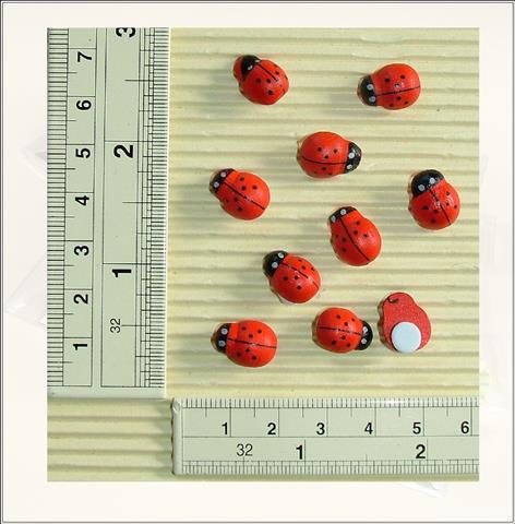 Wooden Lady Birds