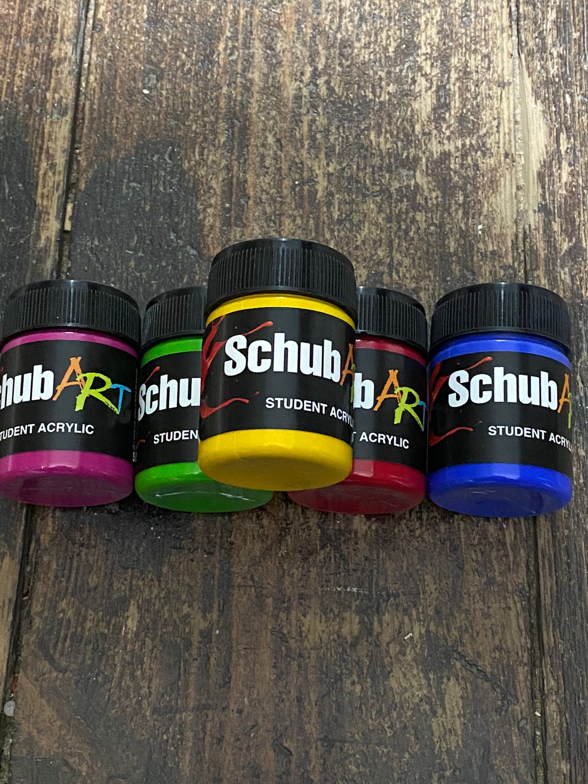 Schub Art Student Acrylic Paint