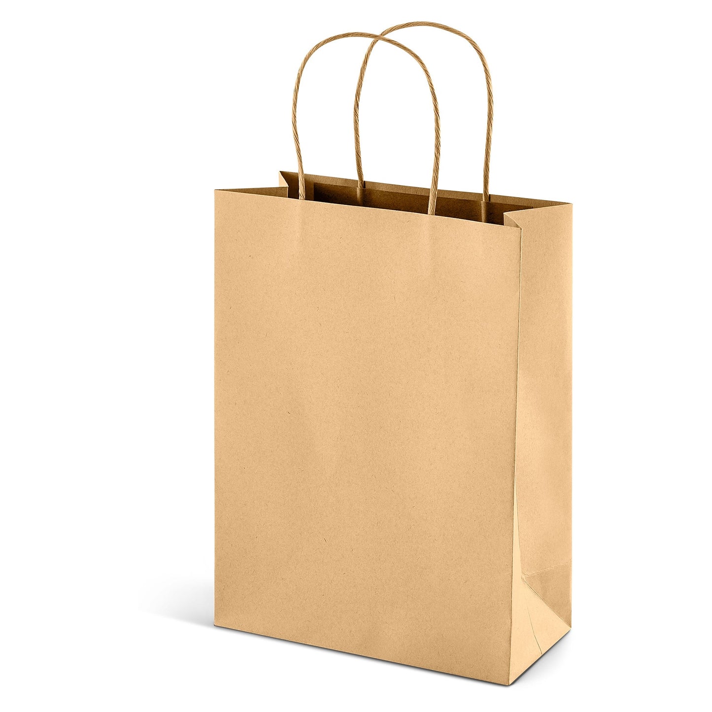 Paper Craft Bags